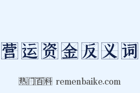 营运资金反义词是什么意思的图片